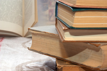 大班主题教案《动物世界》