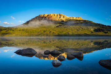大班主题教案《动物世界》