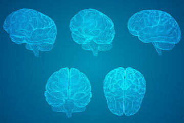 新年开学寄语幼儿园