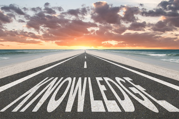 从宣化红十字医院到洋河南大桥坐几路公交车