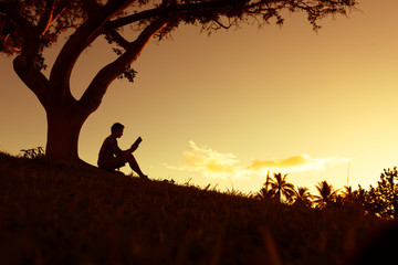 从宣化红十字医院到洋河南大桥坐几路公交车