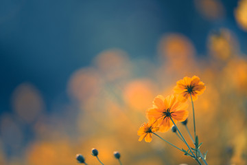 为什么要做刹车油更换？