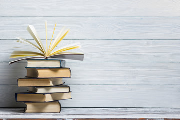 大班主题教案《动物世界》