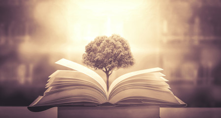 青岛有哪些网红？