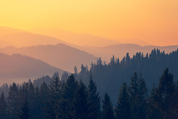 起亚kxcross买的人多吗