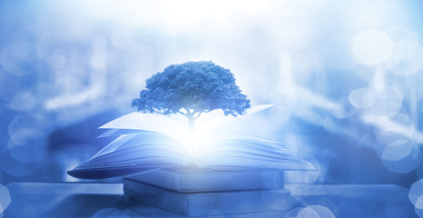 生活中压强小常识