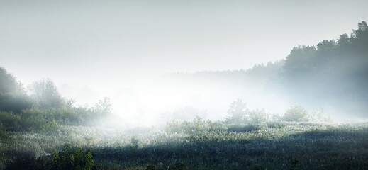 期刊分为几种类型