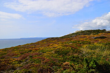 起亚kxcross买的人多吗