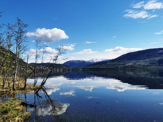 从宣化红十字医院到洋河南大桥坐几路公交车