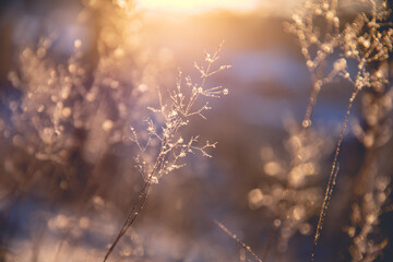 新年开学寄语幼儿园