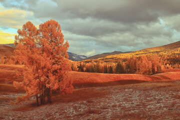 为什么要做刹车油更换？