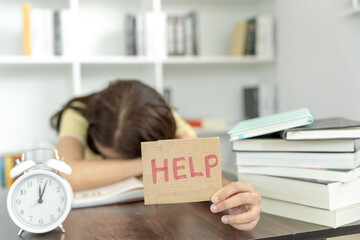 德州市公交路线查询