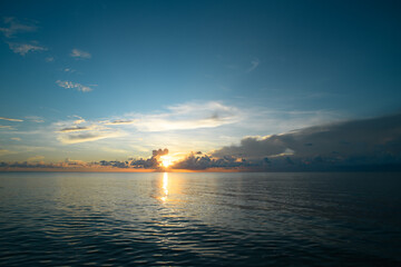 大班主题教案《动物世界》