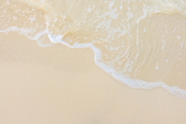 新年开学寄语幼儿园