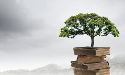 宝马530和奔驰E300怎么选？