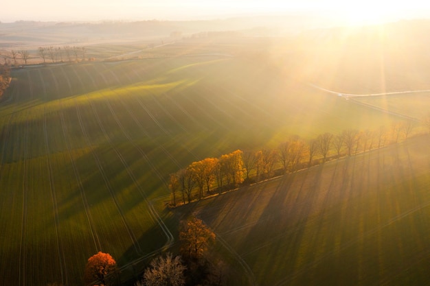 宝马530和奔驰E300怎么选？