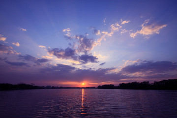 大班主题教案《动物世界》