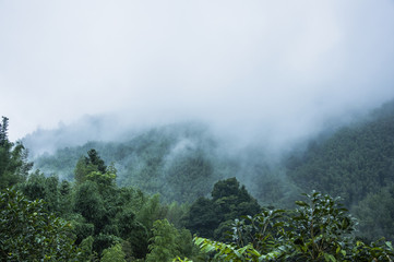 新年开学寄语幼儿园